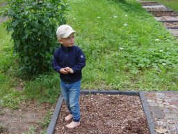 Arboretumfest (Familienfest) 2026